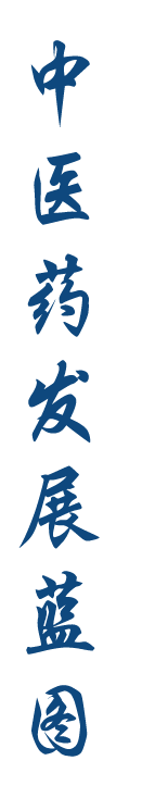 中医药发展蓝图