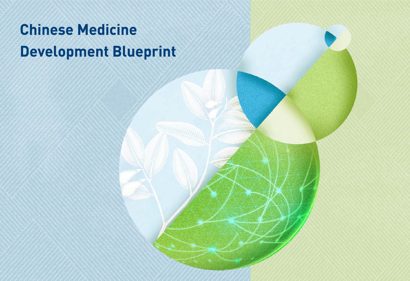 Chinese Medicine Development Blueprint