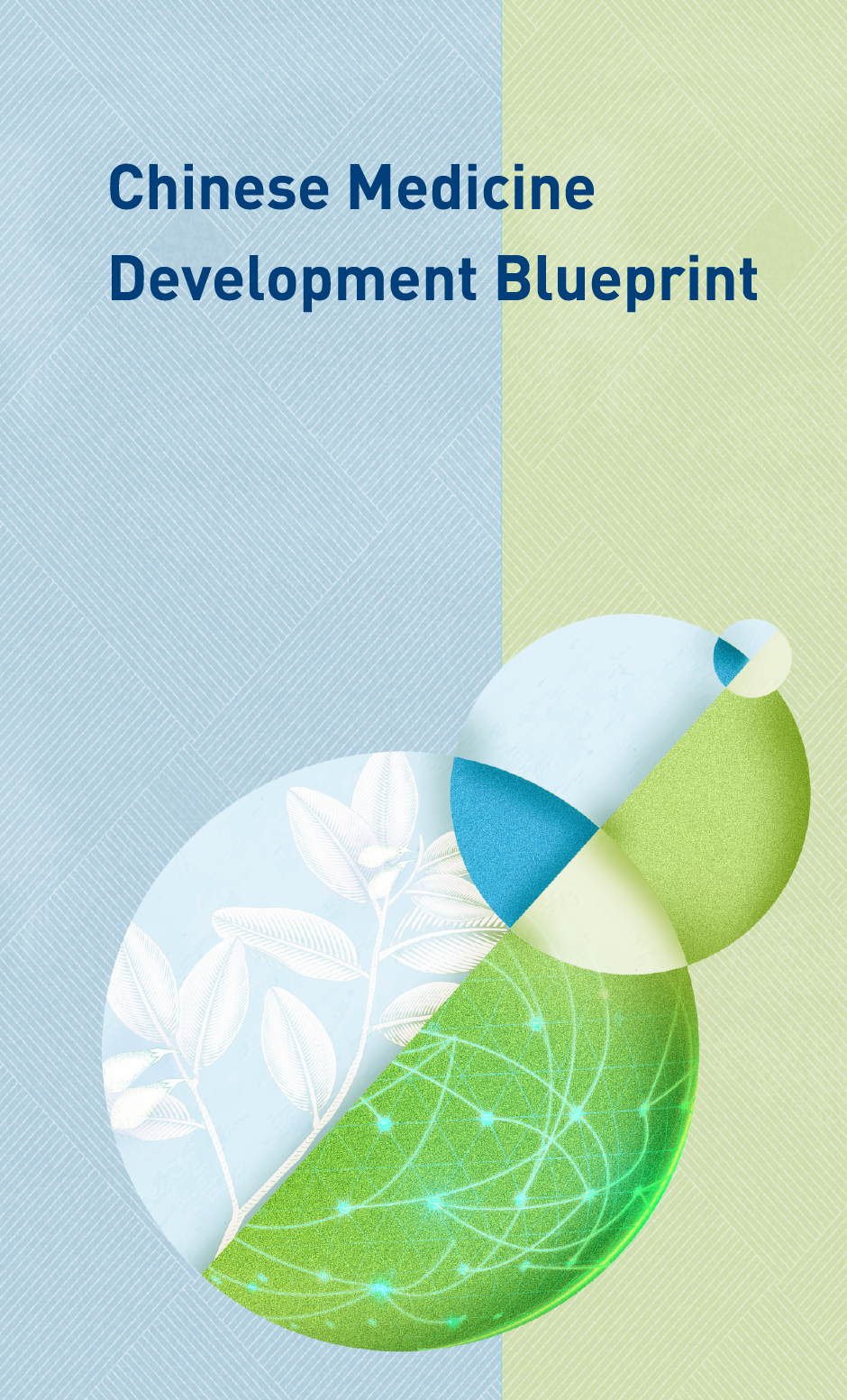 Chinese Medicine Development Blueprint
