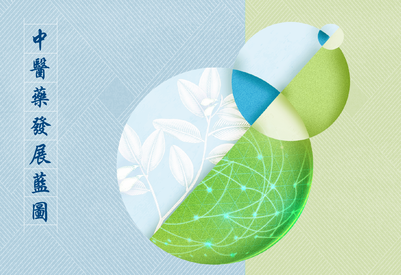 中醫藥發展藍圖