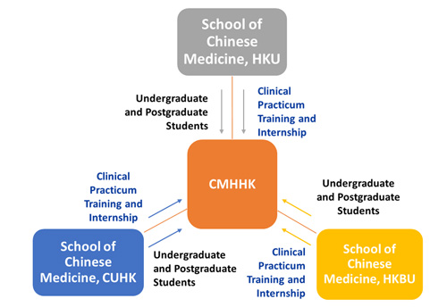 Diagram illustrating the role of CMH in training and education