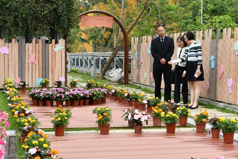 食物及衞生局局長會見傳媒談話全文（附圖）