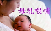 母乳喂哺资讯