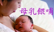 母乳餵哺資訊