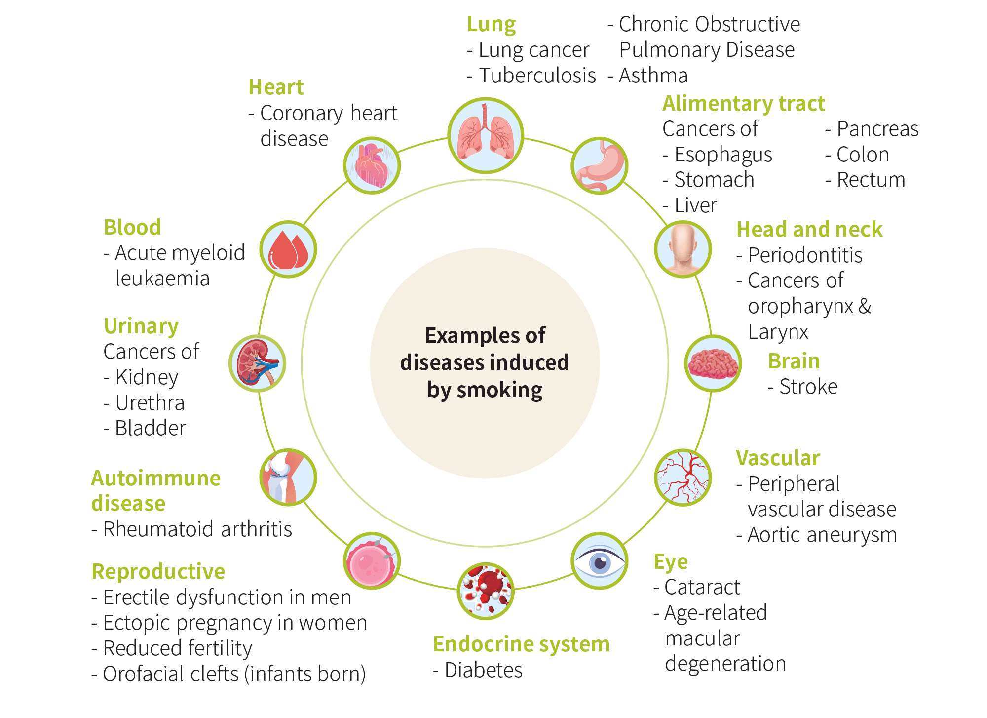 Examples of diseases induced by smoking